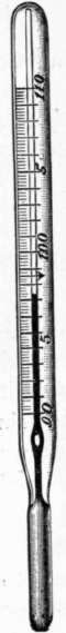 Clinical Thermometer