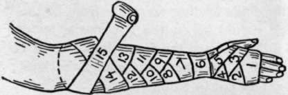 Figure 8 Of The Arm