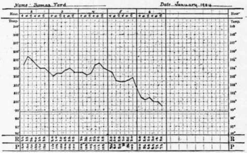 Temperature, Pulse, And Respiration Chart