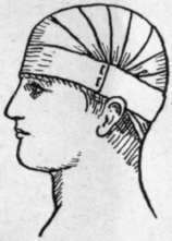 The Capeline