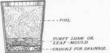 A diagram showing the right soil to be prepared for growing bulbs in tubs