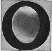 A fertile egg on seventh day of incubation