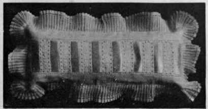 A long pincushion of wide embroidery beading