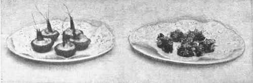 Cassolettes of shrimps