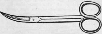 Cuticle scissors