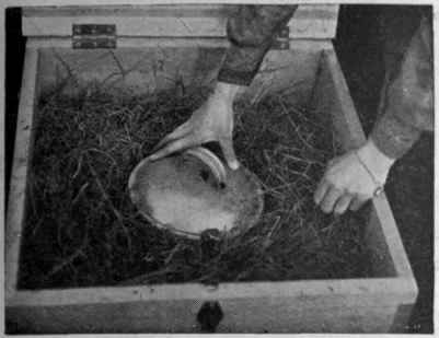 Fitting in the can. The box must be packed with hay as closely as possible, since the hay is the non conductive medium