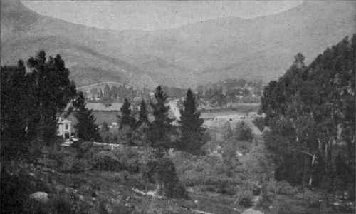 Heathcote Valley. Between Christchurch and Lyttelton, N.z. A characteristic glimpse of one of the longer established villages planted with British and Australian trees 