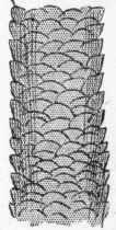 Highly magnified hair, showing the cells overlapping each other