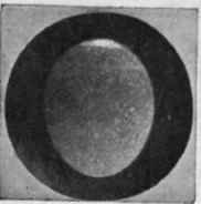 How a recently laid egg looks when viewed by means of the lamp
