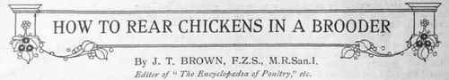 The Art of Artificial Rearing   Hints on Choosing a Brcoder   How the Brooder should be