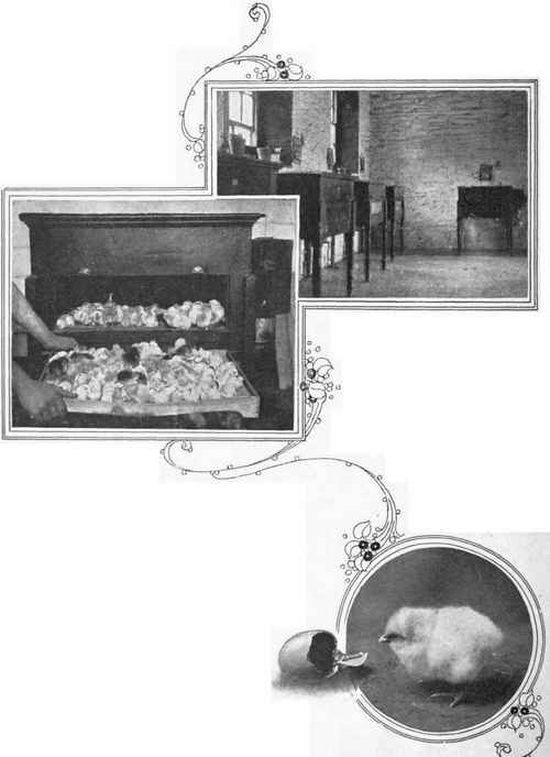 The incubators at work