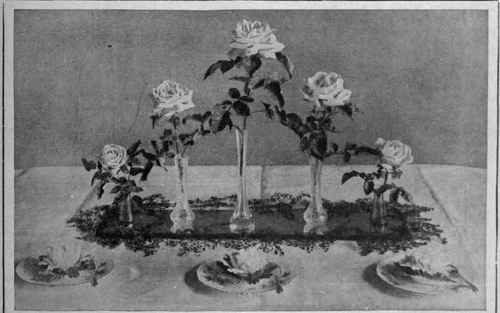 Woman s Home Table Decoration For January 100866