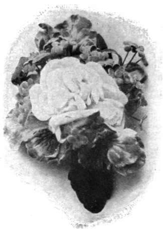 A rosette formed of a full blown white rose with pansies and forget me�nots is a useful addition to summer millinery and cornflowers also appear to advantage on a blue tagel toque.