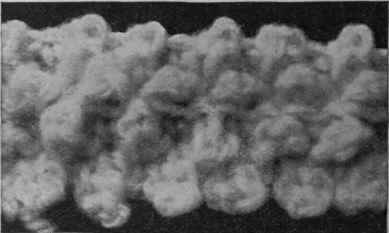 Fig 21. Chain tuft stitch. In this the tuft is of chain