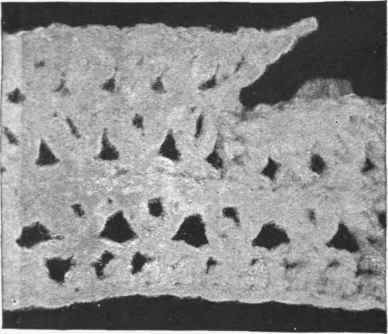 Figure 22. Cross stitch with rib