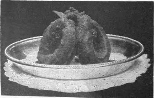 Fried whiting