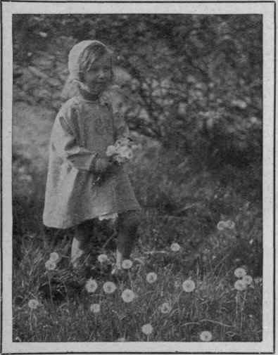 Pickinp dandelion clocks