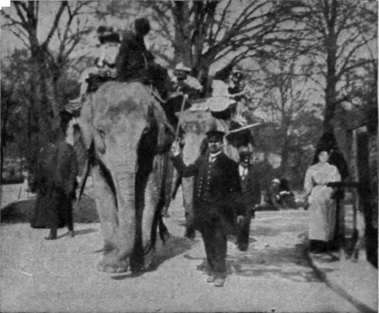 The Paris Zoo boasts its riding elephants, and their keepers are busy every fine day taking small patrons for a ride cart, full of merry, laughing children.