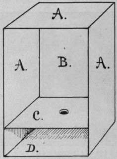A case for breeding butterflies.