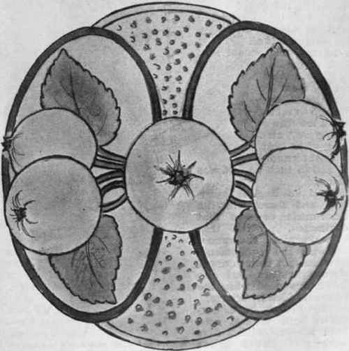 A charming set of dessert d'oyleys can be made by using a bold apple design with evenly worked French knots