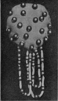 A suede cabochon studded with dull beads embroidered.