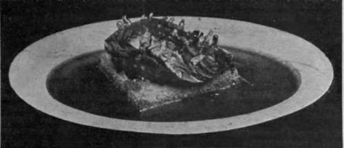 Braised Liver