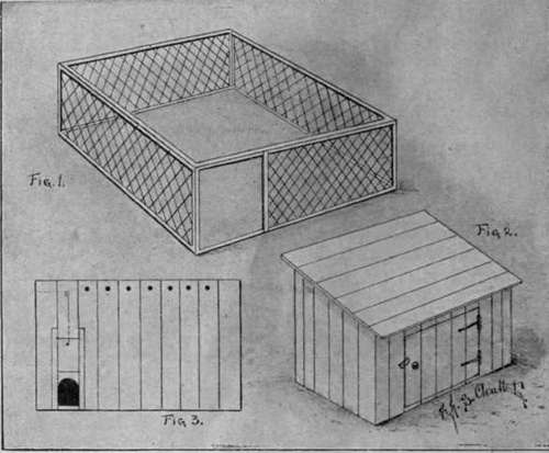 Cavies can be employed with advantage as lawn mowers