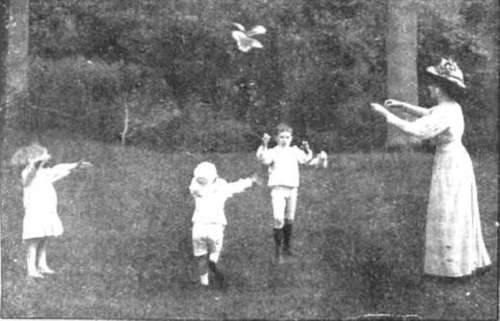 Chasing a mechanical butterfly is an excellent exercise and one that is not attended by over strain or undue exertion. The butterfly, when wound up, remains in the air for some time