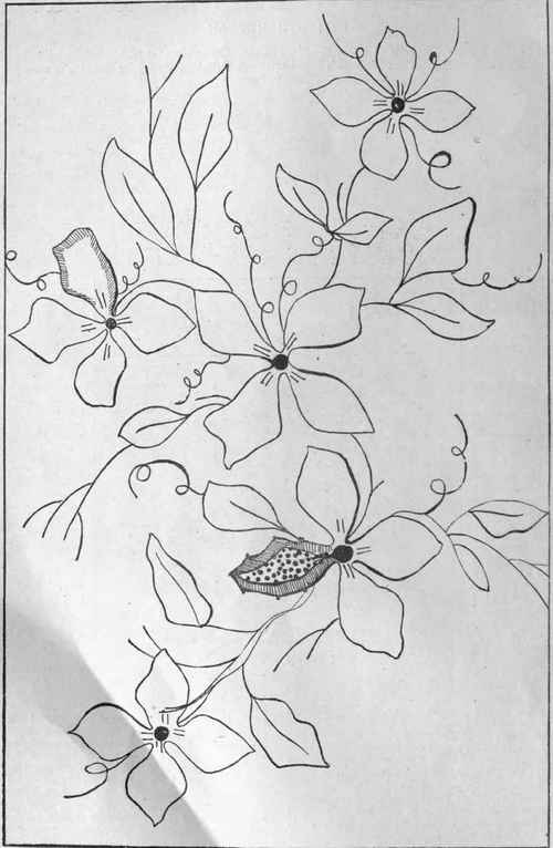 Clematis design for a muff, to be embroidered in silk and beads. To use this pattern, lay carbon paper on the fabric, place design upon it, and trace over with the point of a knitting needle