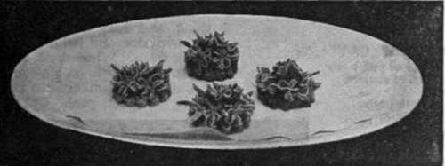 Croutes of Caviare a 1' Orientate