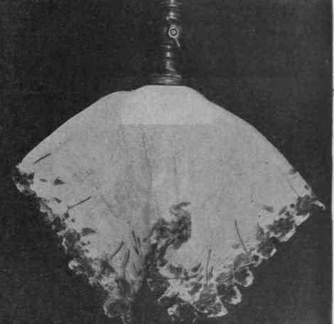 Fig. 1. A simple but tasteful electric light shade, made from a Japanese