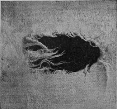 Fig. I. A bad tear in the patterned portion of the material