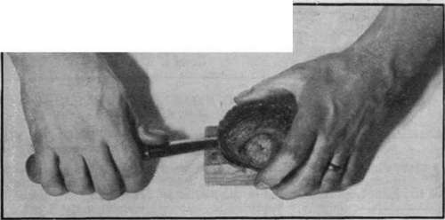 How To Open And Serve Oysters 400804