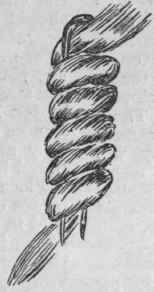 How hair can be waved on a horn or steel pin. An elastic band slipped across the pin. when the hair has covered it, will keep all in position