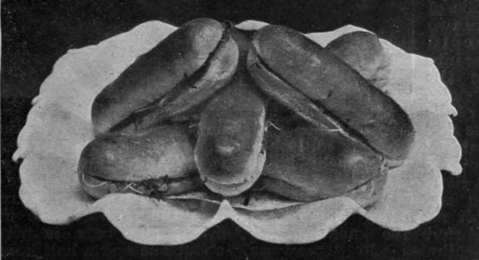 Savoury Cream and cress Sandwiches