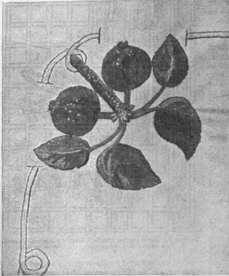 The apple design, as applied to a sofa cushion. Much of the success of the work will depend upon the shading of leaves and fruit