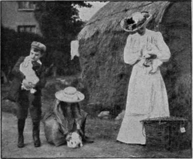 The rabbit class. Judge examining an Angora rabbit. This class is always a popular and well filled one have been in their owner's sole charge since birth.