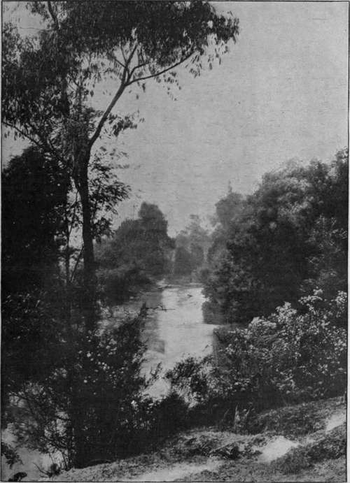 View on the River Yarra at Healesville. Victoria