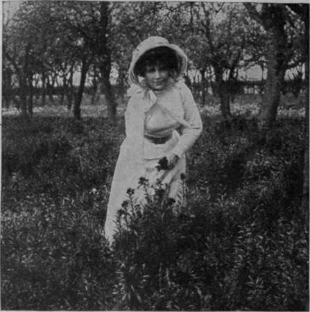 Wallflowers also are a remunerative crop that can be grown under fruit trees. They command a good price during the spring months. The plants must be bedded out in the autumn