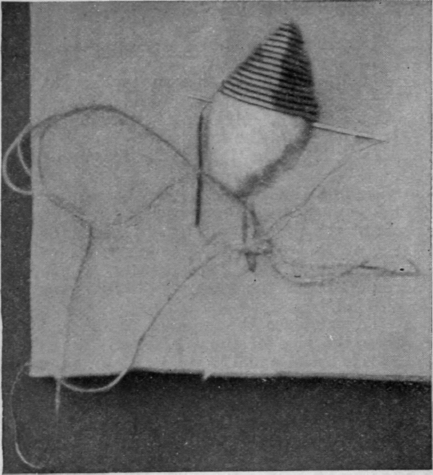 A leaf worked in purl. The leaf is first padded with thread or pieces of cloth cut to shape. The purl is cut in lengths to lie crossways on the leaf, neither too long nor too short