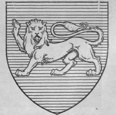 A lion passant and guardant. This device in its simplest form is one of great antiquity