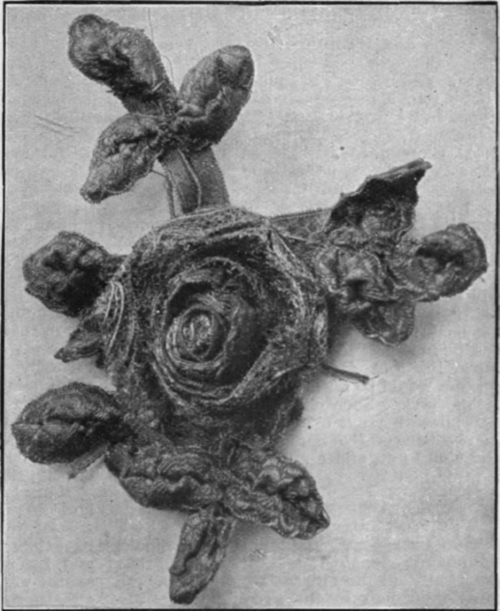 A rose spray in gold lace, which would form an effective ornament for a picture hat
