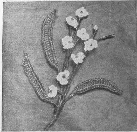 A spray of forget me not in florestore work. The colouring of the natural flower should be followed by the embroiderer, a touch of pink being introduced into the blossoms and buds