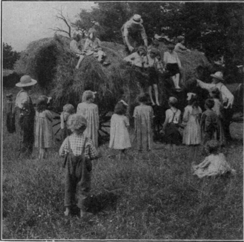 Australian children enjoying a hay slide in the hayfields of West Queensland