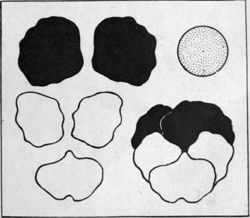 Diagram showing the separate parts of the heartsease blossom. Cut these out in paper and lay on the material, cutting neatly round with very sharp scissors. Each pansy should be made up on a tiny piece of stiff muslin