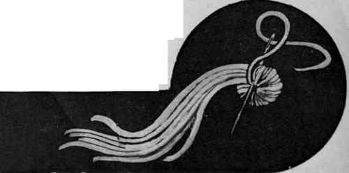 Fig. 2. Take the needle under the tail twice and secure into centre hole