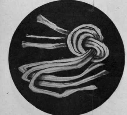 Fig. I. Three uniform strands of raffia are folded and knotted to form a foundation tail of six strands