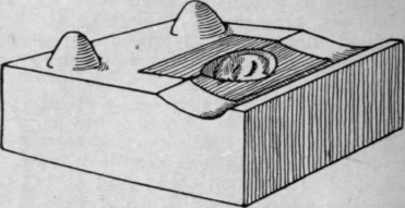 Lower half of a marzipan mould, walnut pattern