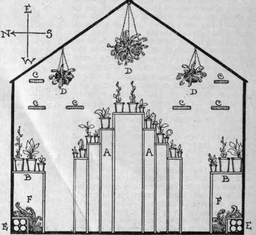 Man or small span roof greenhouse in which space is used to the best advantage. Aa. Central Staging (tiered); Bb. Side Benches ; CC. End elevation of planking for standing seed boxes and pans ; Dd. Hanging Baskets ; Ee. Hot water pipes ;