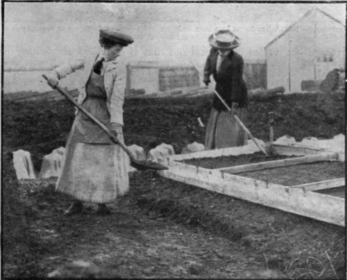 Preparing the hot beds in the forcing frames at the Henwick French garden and vegetable farm. On the efficiency of the method employed will depend the success or failure of the crops sown